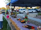 Villa Luau 0011