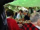 Villa Volunteer Picnic 0281