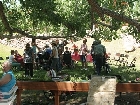 Senior Lunch 7527