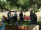 Senior Lunch 7528