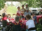 Senior Lunch 7536