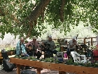 Senior Lunch 7537
