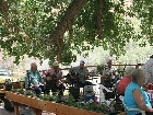 Senior Lunch 7538
