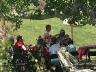 Senior Lunch 7540
