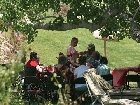 Senior Lunch 7541